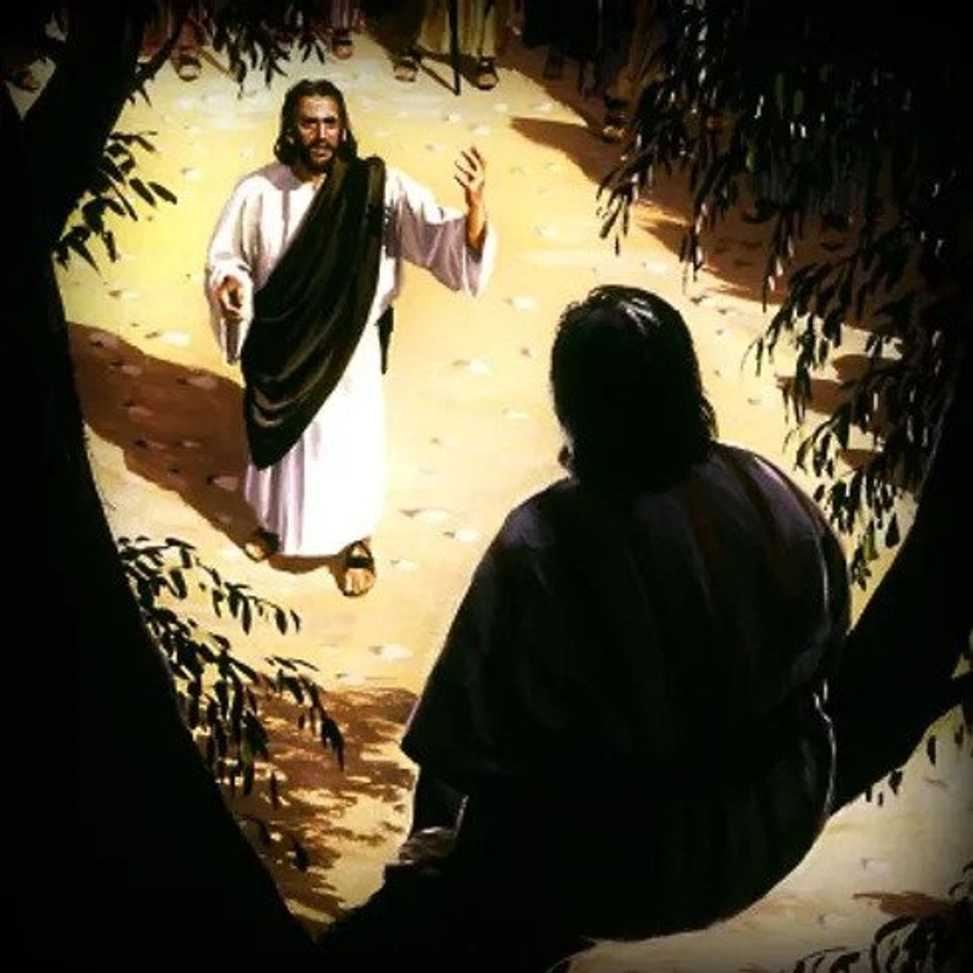 La Salvezza di Dio non ha limiti - Ordinario XXXI - Luca 19,1-10