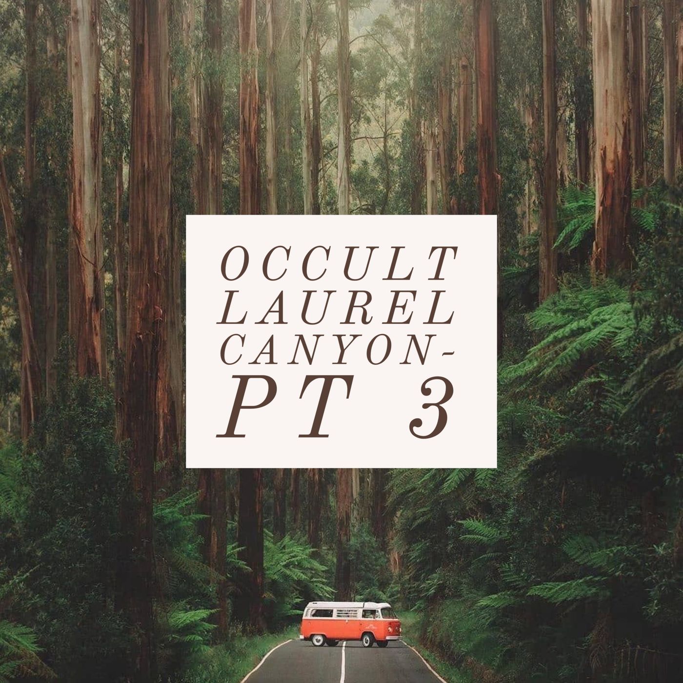 OCCULT LAUREL CANYON Pt-3 🪬