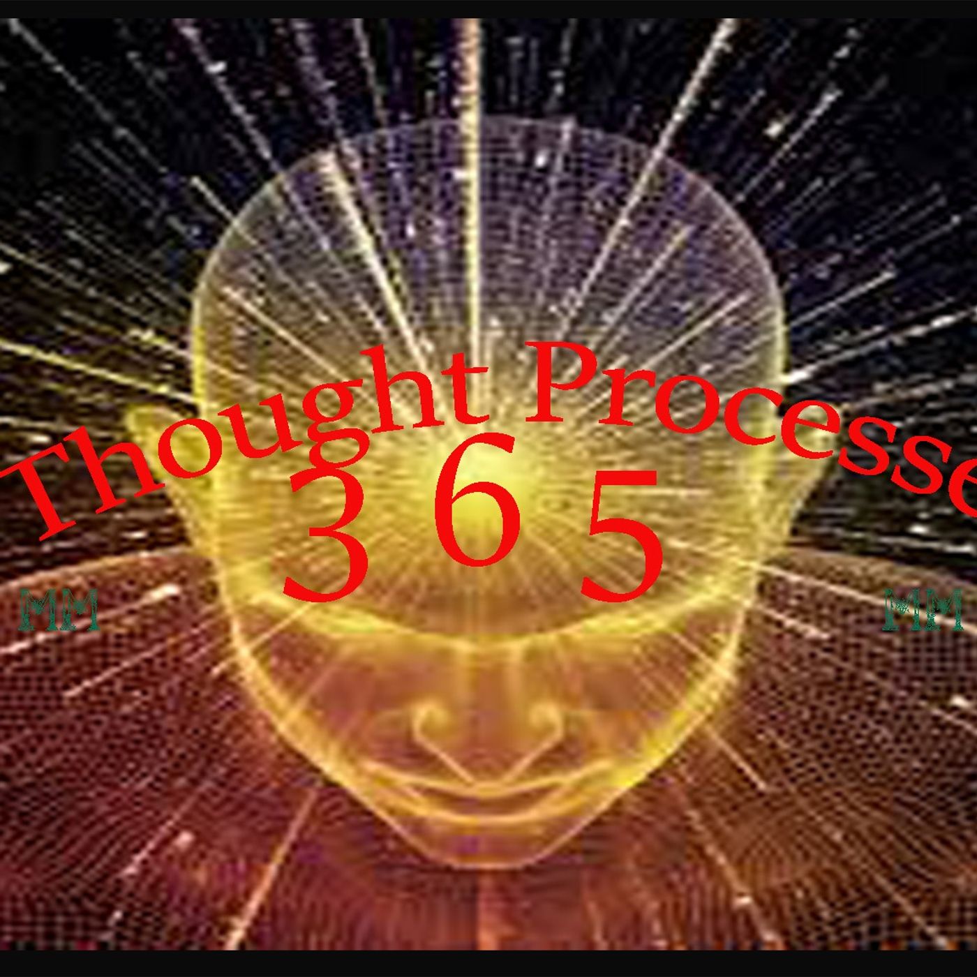 Thought Processes 365's Show
