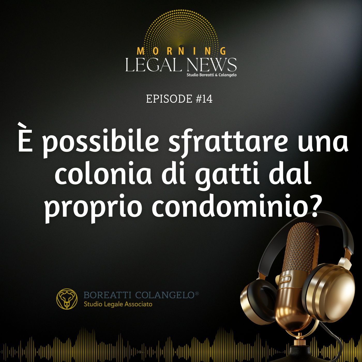 #14 - È possibile sfrattare una colonia di gatti dal proprio condominio | Boreatti & Colangelo episode artwork