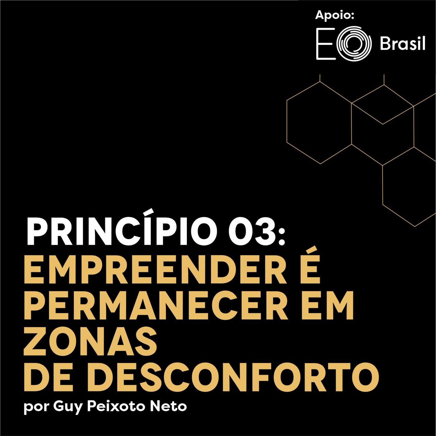 101 Princípios Essenciais do Empreendedorismo