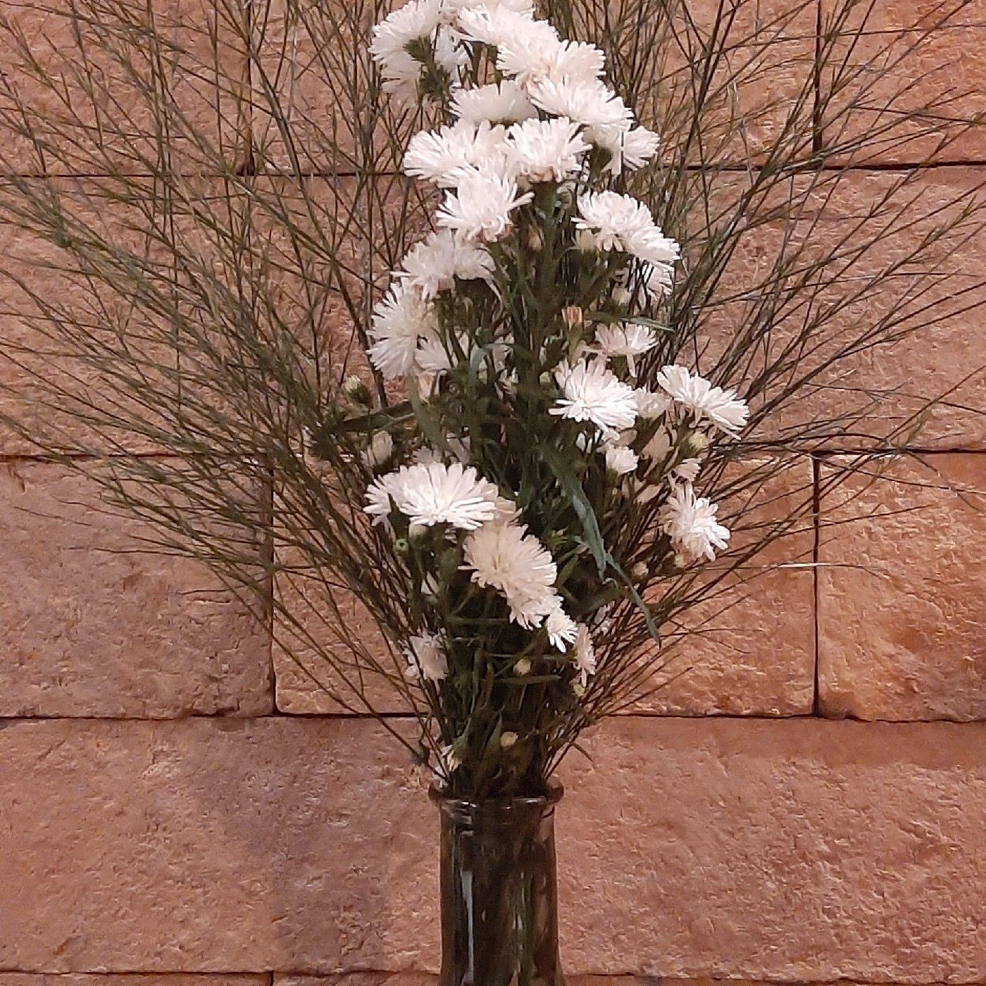 podcast de Kasha Bianca Lazzaro cover art