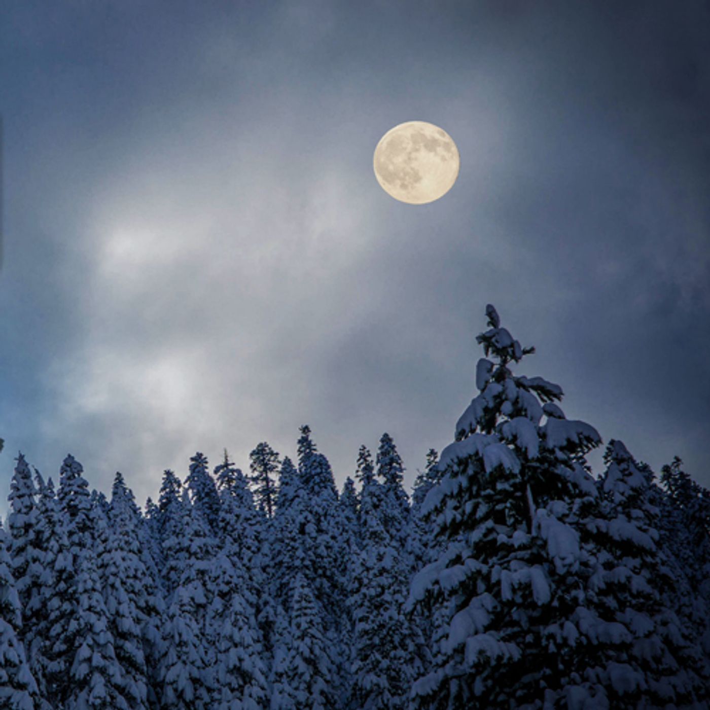 Korku Durağı: Korku Hikayeleri & Creepypasta