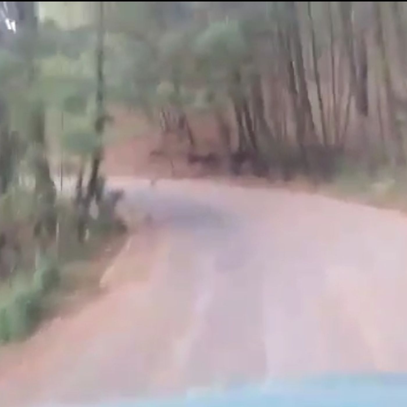 Historias de Miedo Septiembre 27 de 2022 CON QUIEN ESTABA HABLANDO