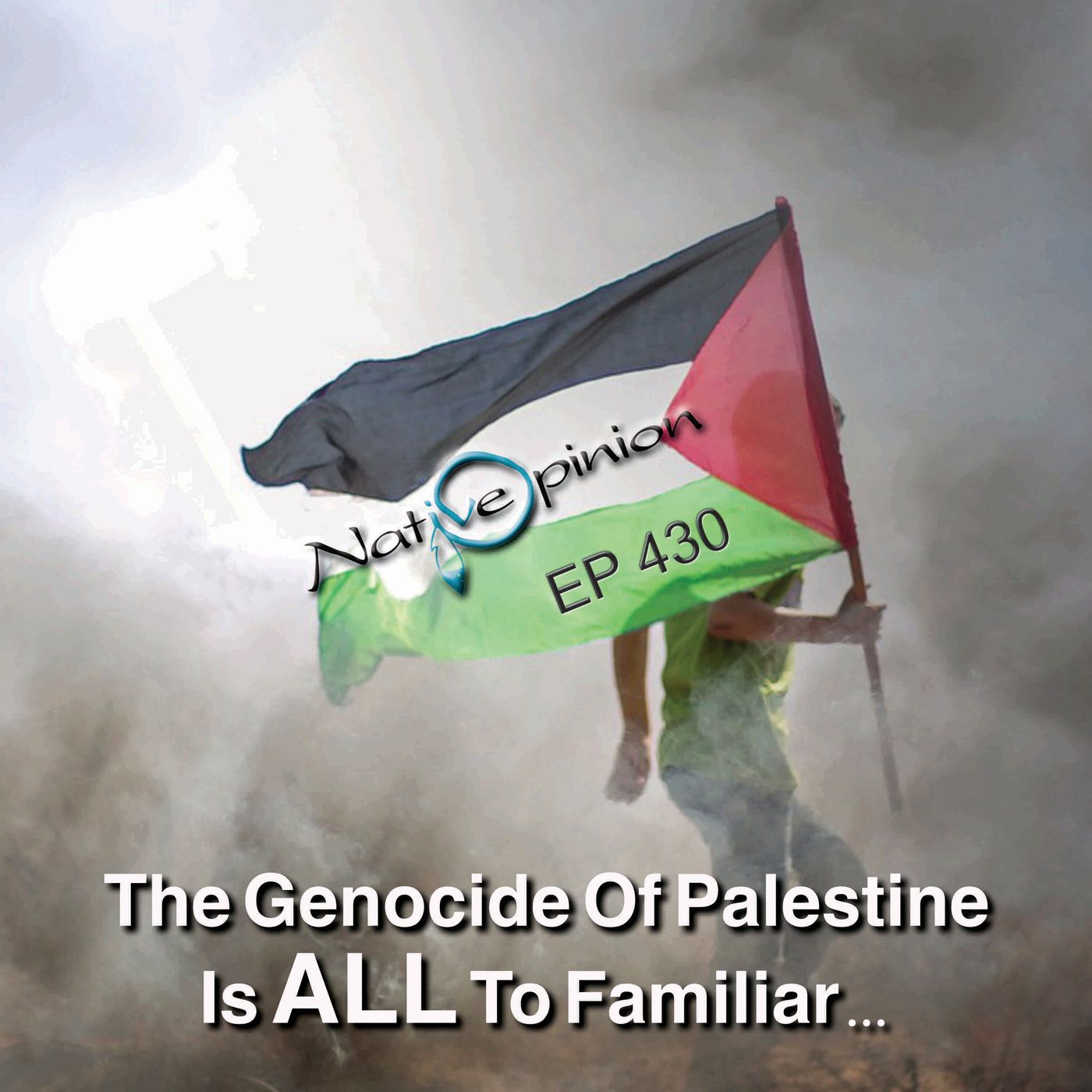 The Genocide Of Palestine  Is All To Familiar… - podcast episode cover