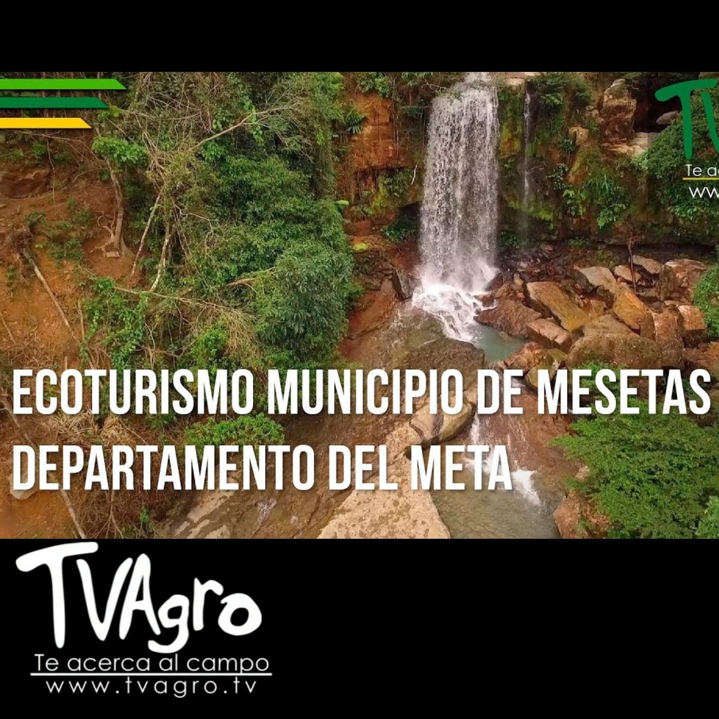 TV AGRO