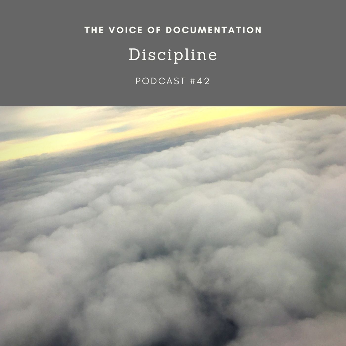 The Voice Of Documentation