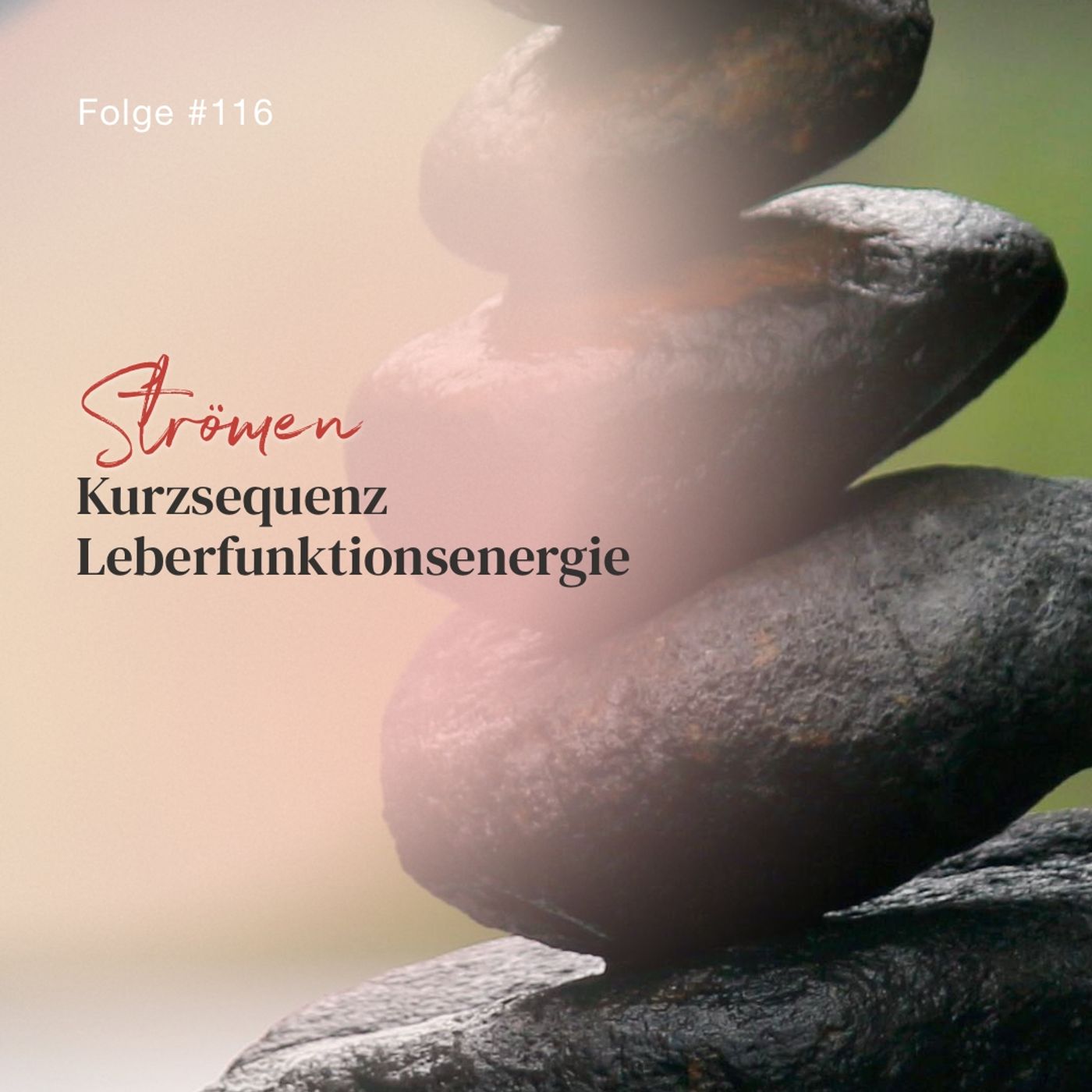 Kurzsequenz Leberfunktionsenergie | ca. 20 Min | Folge 116 Kurzsequenz Leberfunktionsenergie | ca. 20 Min | Folge 116