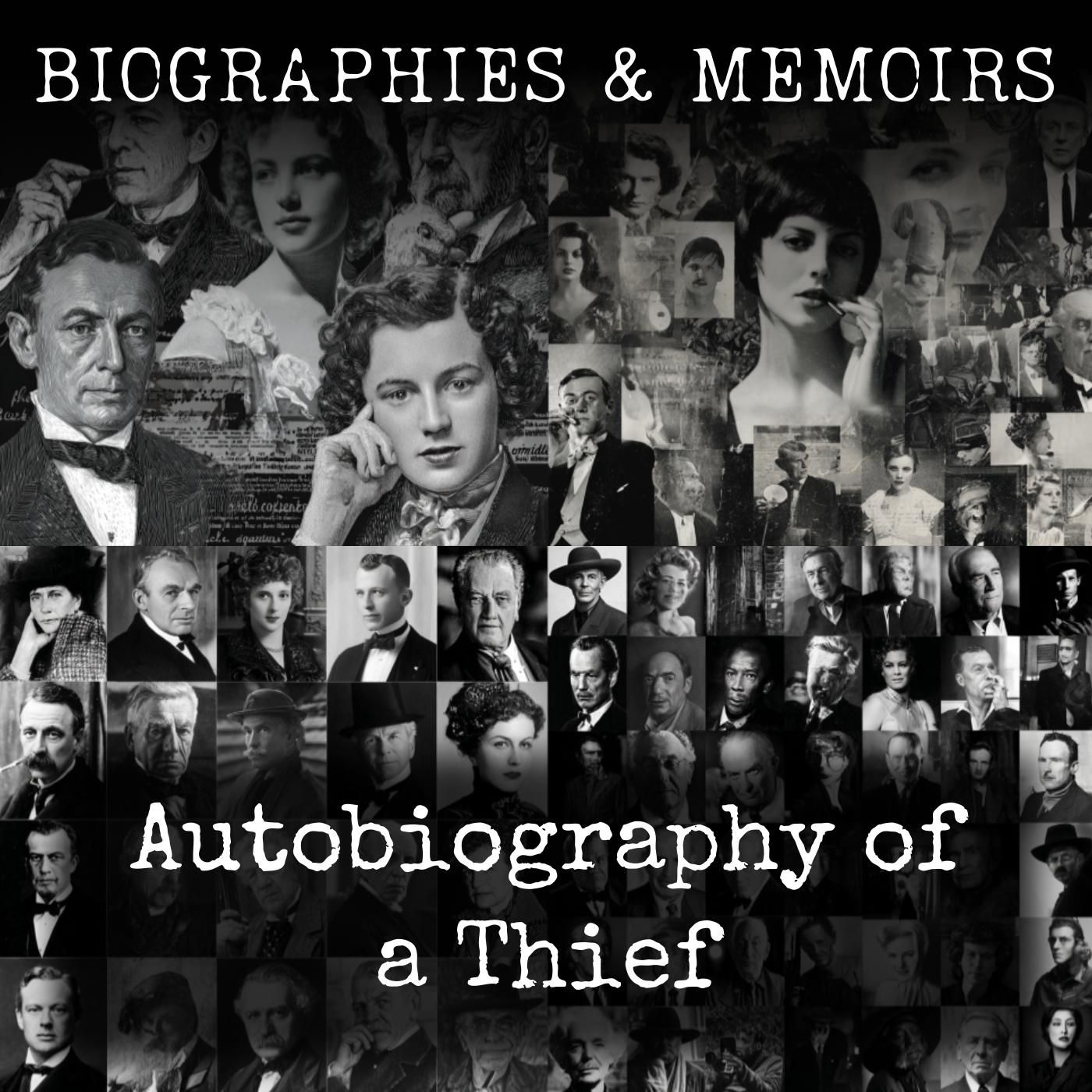 Autobiography of a Thief