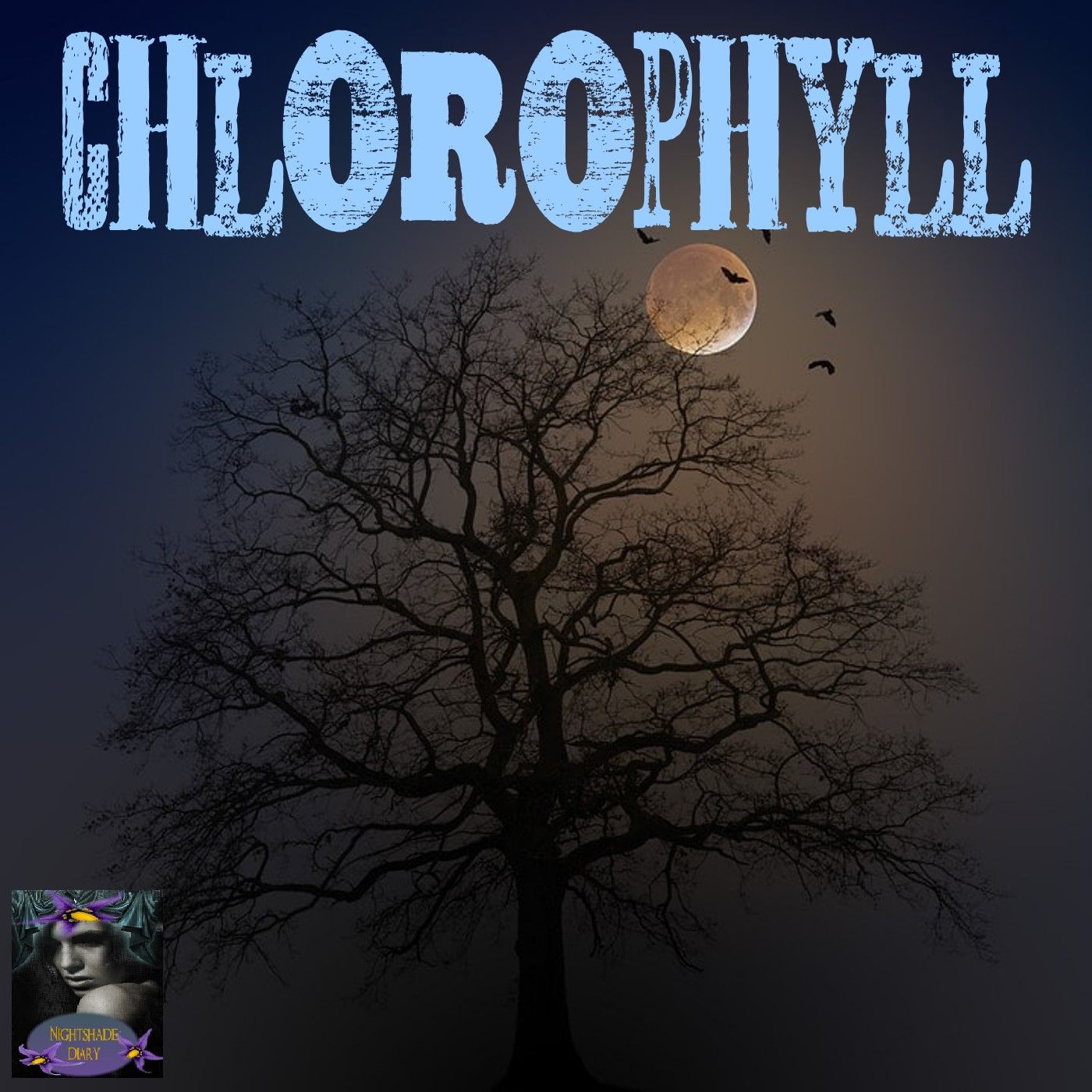 Chlorophyll | Stephen Tall | Podcast