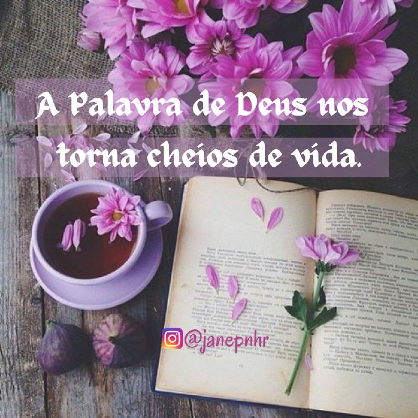 Pra. Jane Pinheiro
