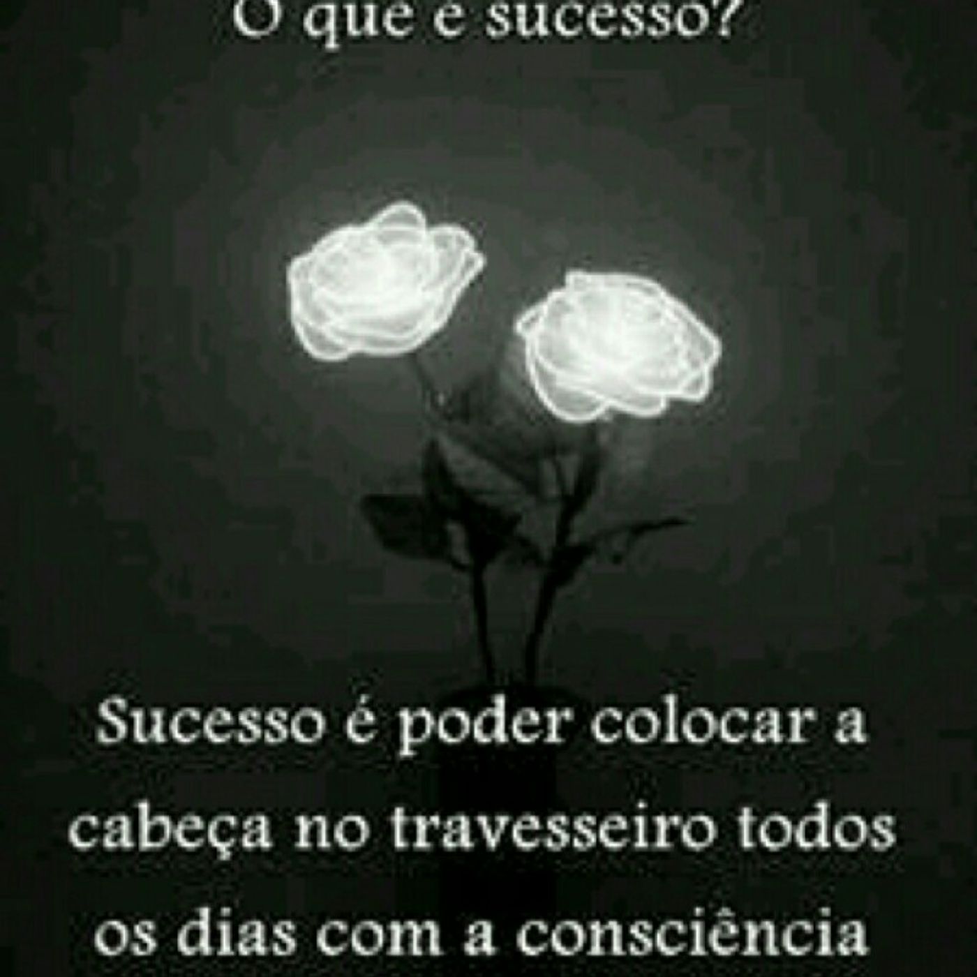 Essa §
