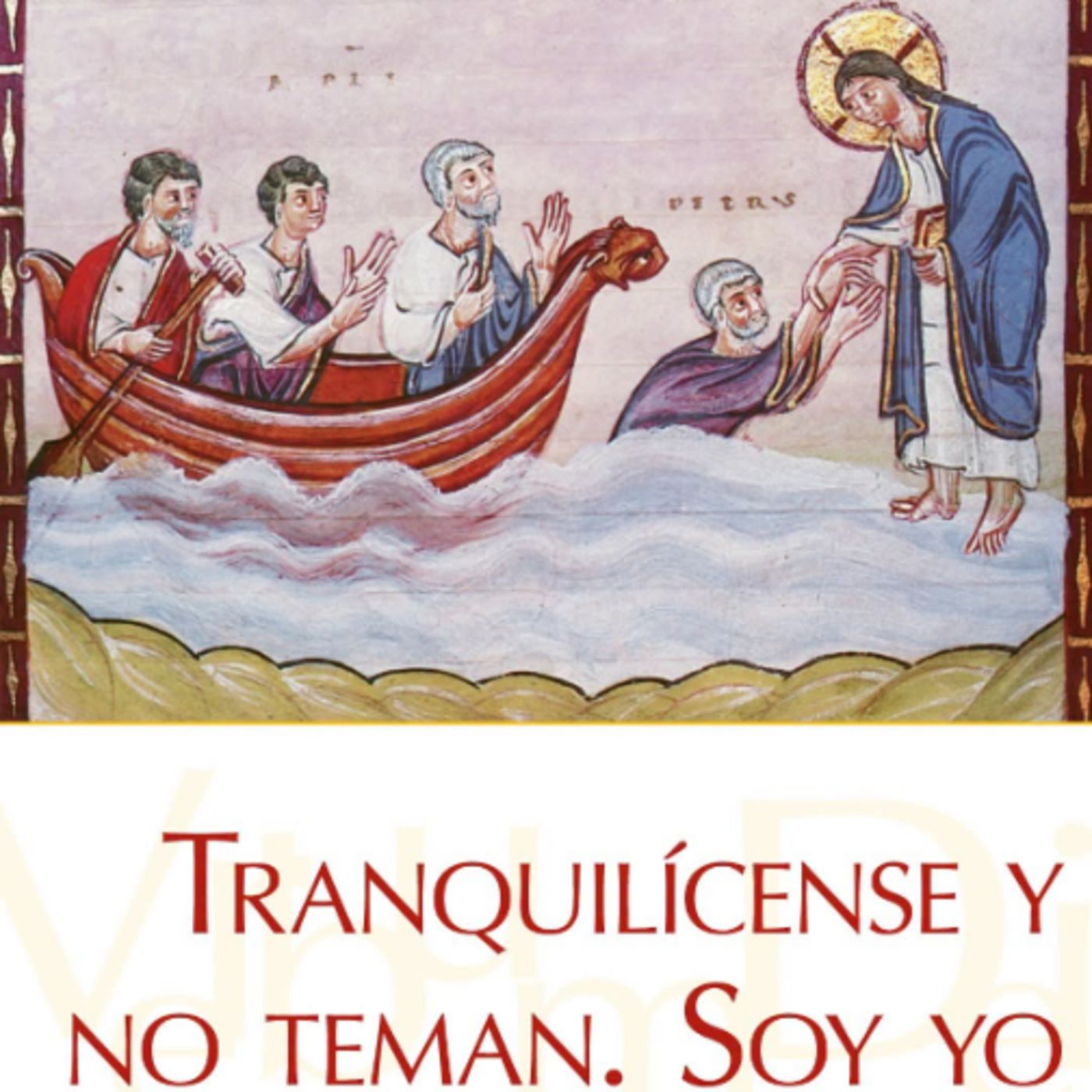 Evangélio Diario 9 de agosto Monseñor Enrique Diaz Diaz episode artwork