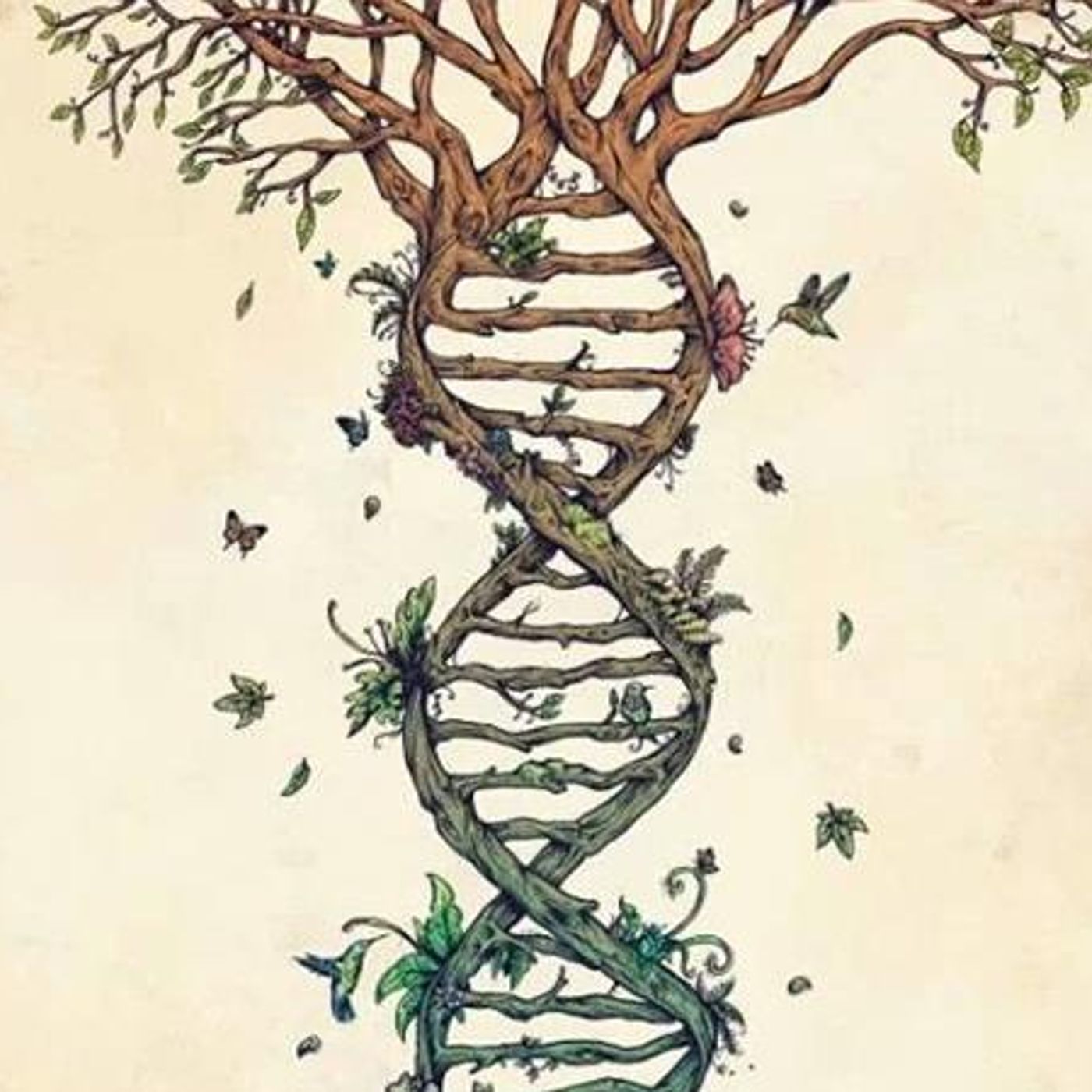 The Cosmic Citizen: SpiritQuest #3 - PLANT YOUR GARDEN OF THE SOUL episode artwork