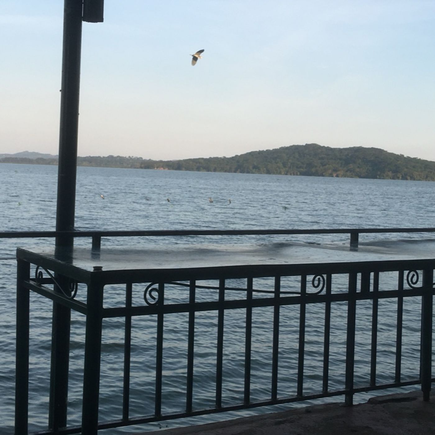 Épisode 3 L’attente du all star 🌟