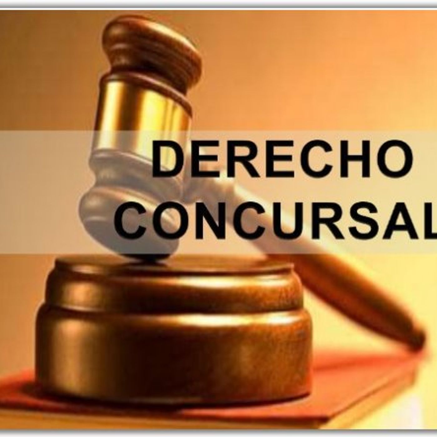 CONCURSAL 2 COMPETENCIA JUDICIAL