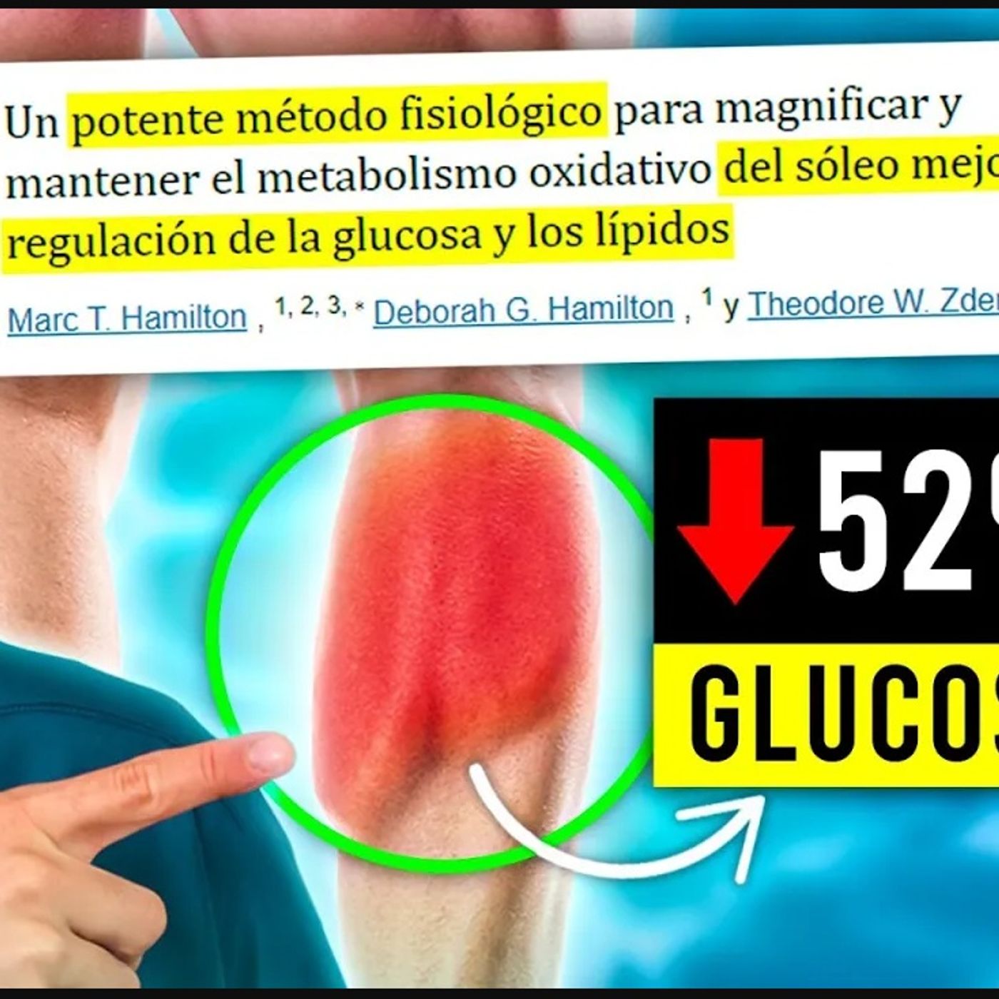 ¡NUEVO ESTUDIO!🤩Realiza este EJERCICIO SENTADO para QUEMAR MÁS GRASA y BAJAR MUCHO tu GLUCOSA