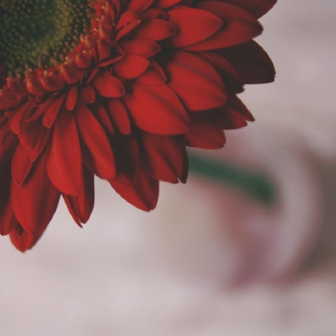 Pulsar Humano, Habitandome!