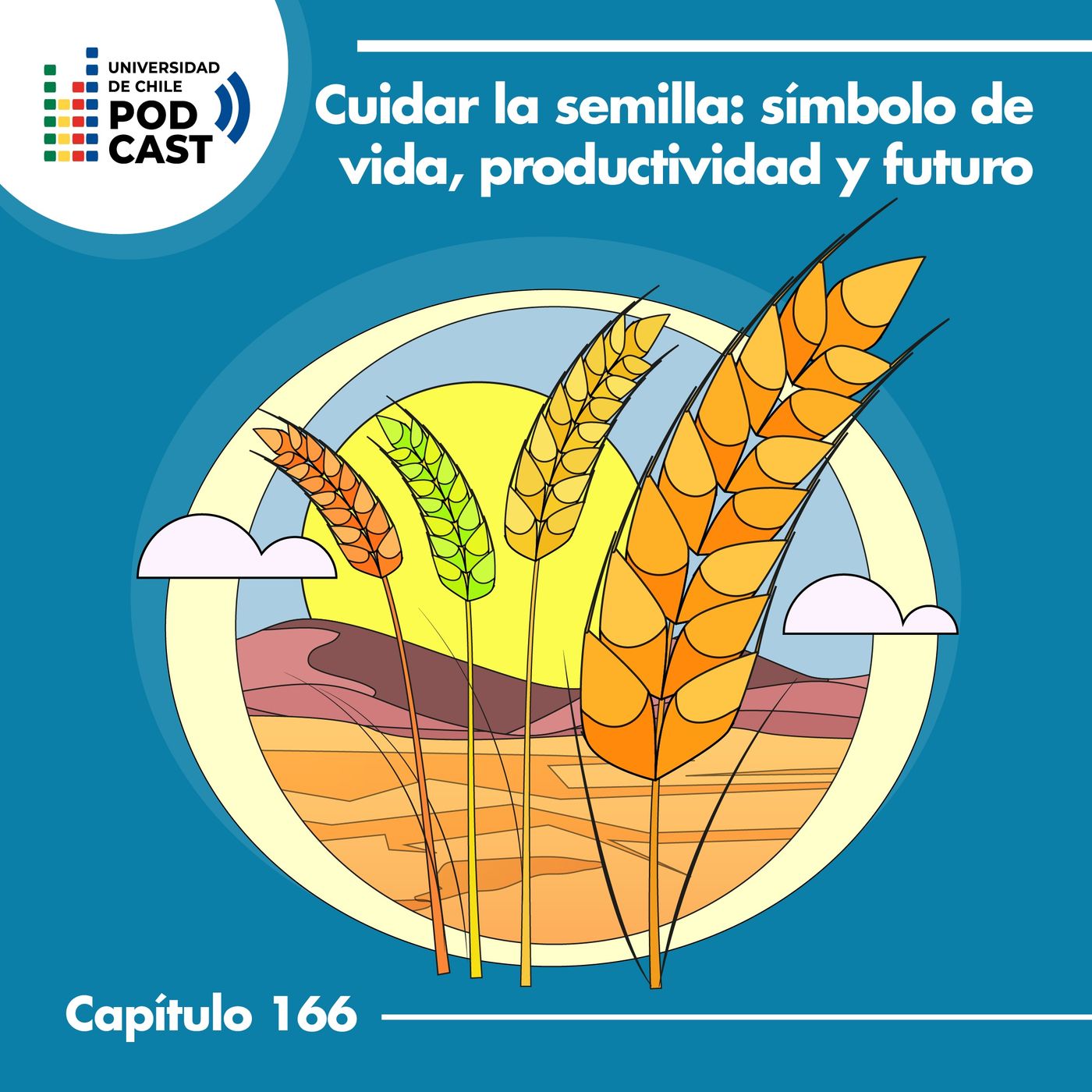 Cuidar la semilla: símbolo de vida, productividad y futuro