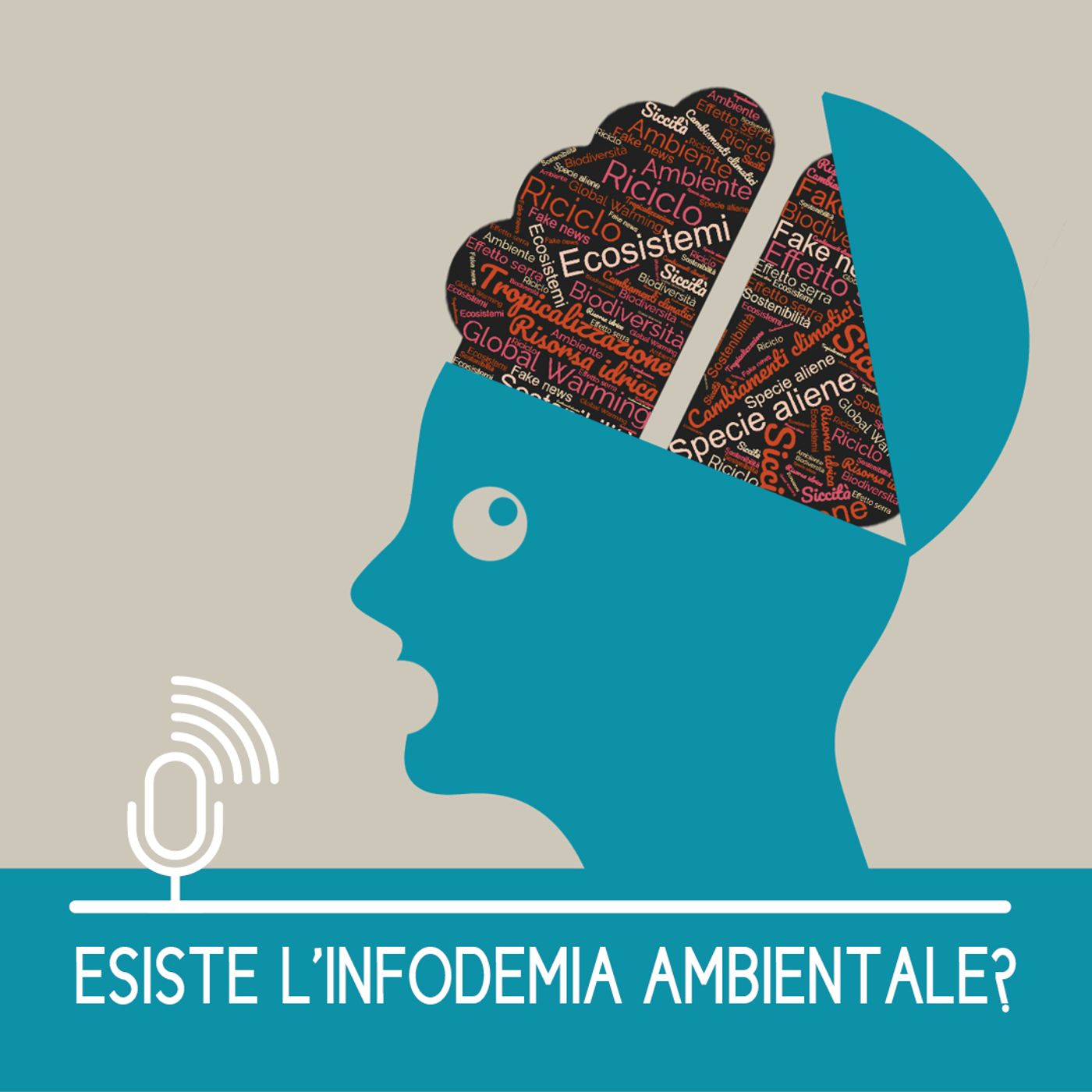 Esiste l'Infodemia Ambientale?
