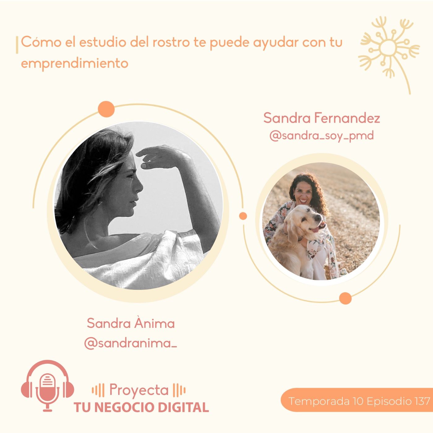 Proyecta tu negocio digital