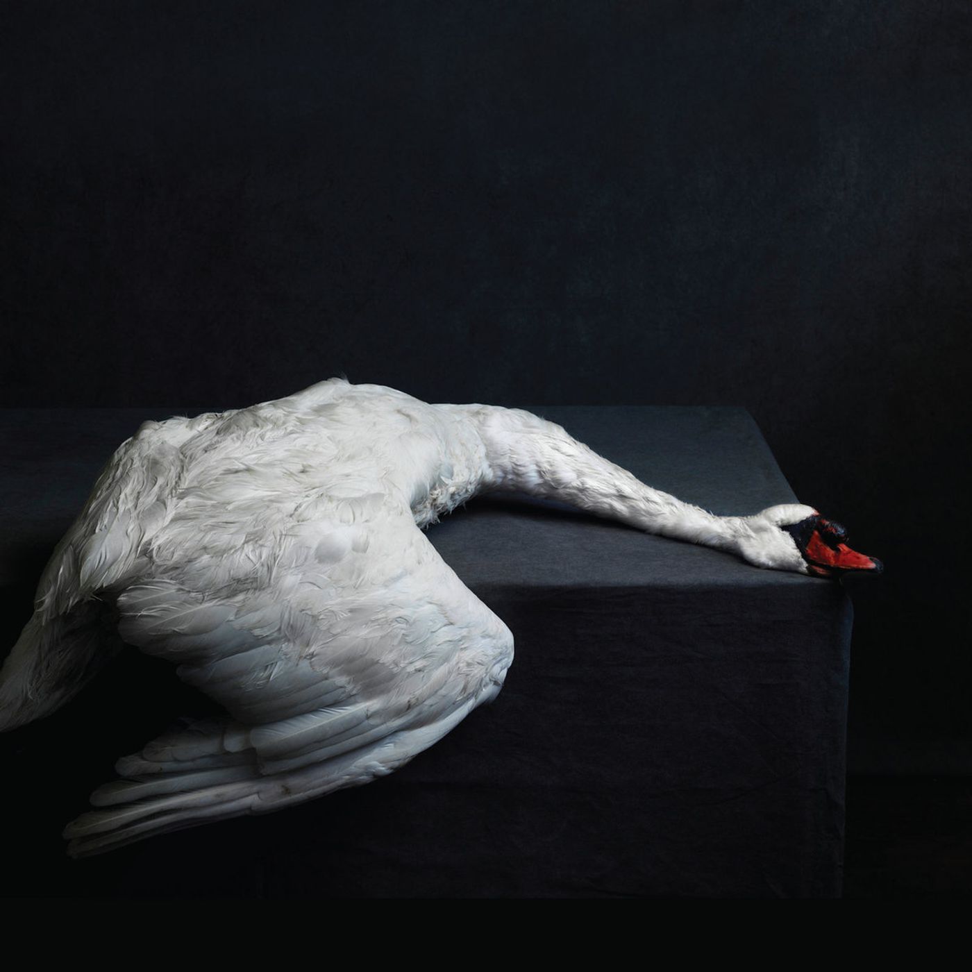 VEGRIND + JOHN, THE VOID-enter the void