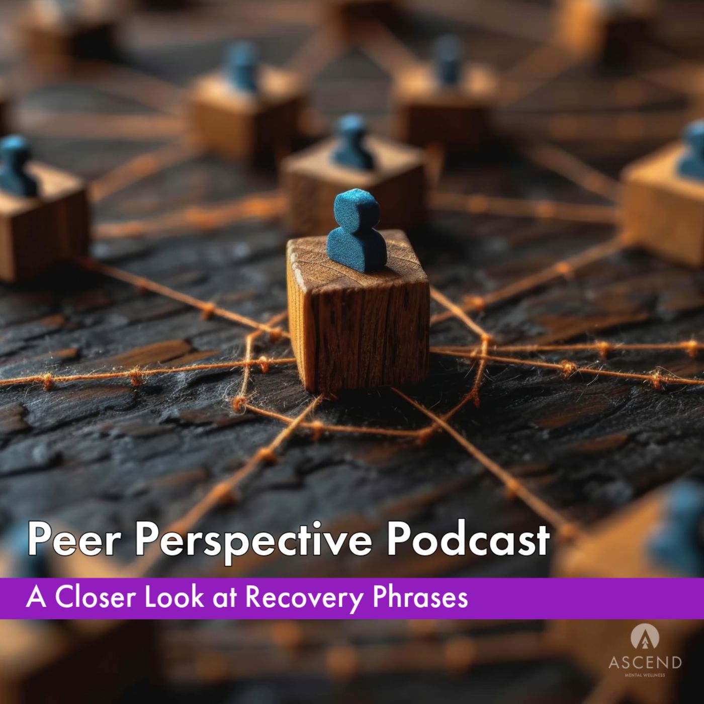 Peer Perspective