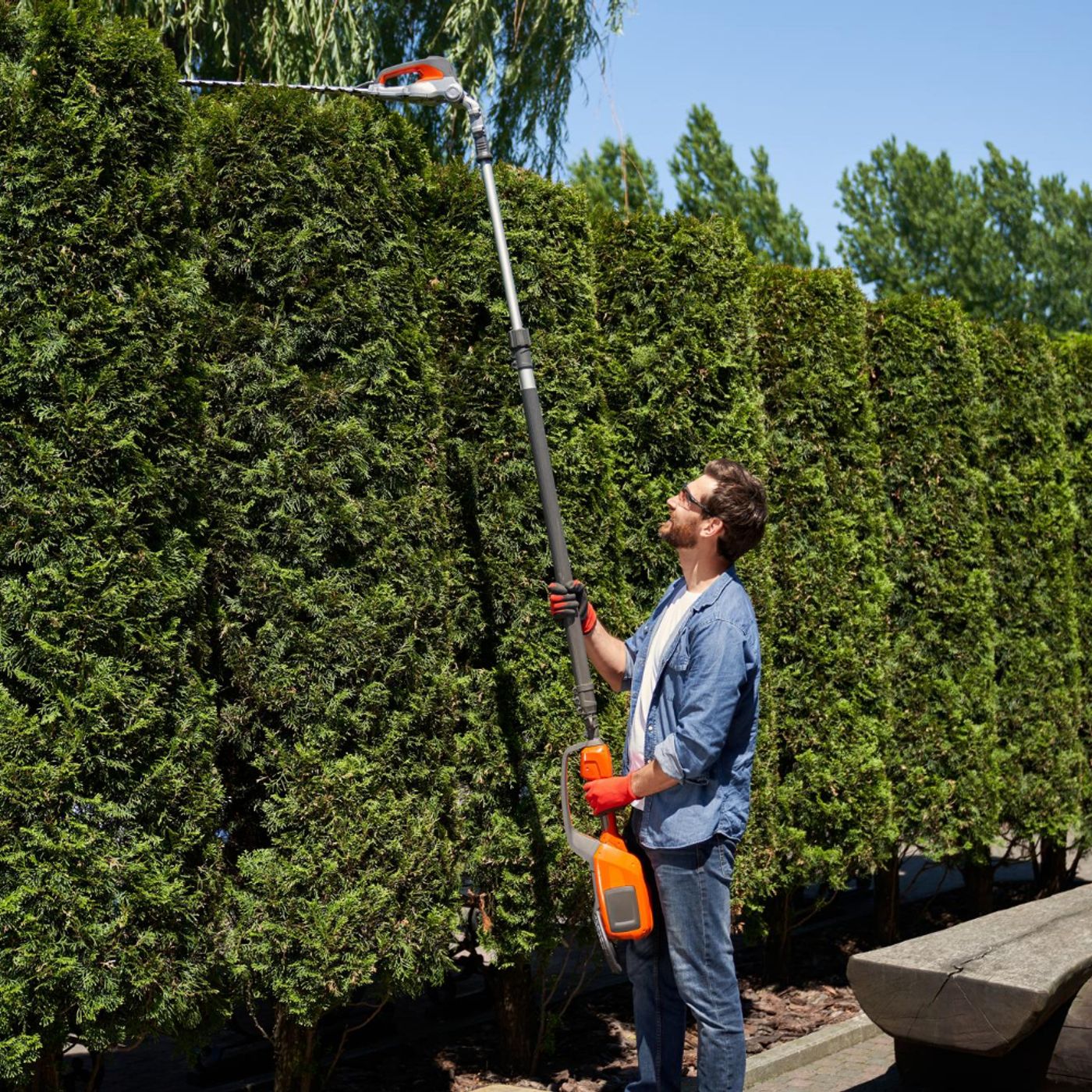 Trim Time When Should You Actually Cut Your Hedge episode artwork