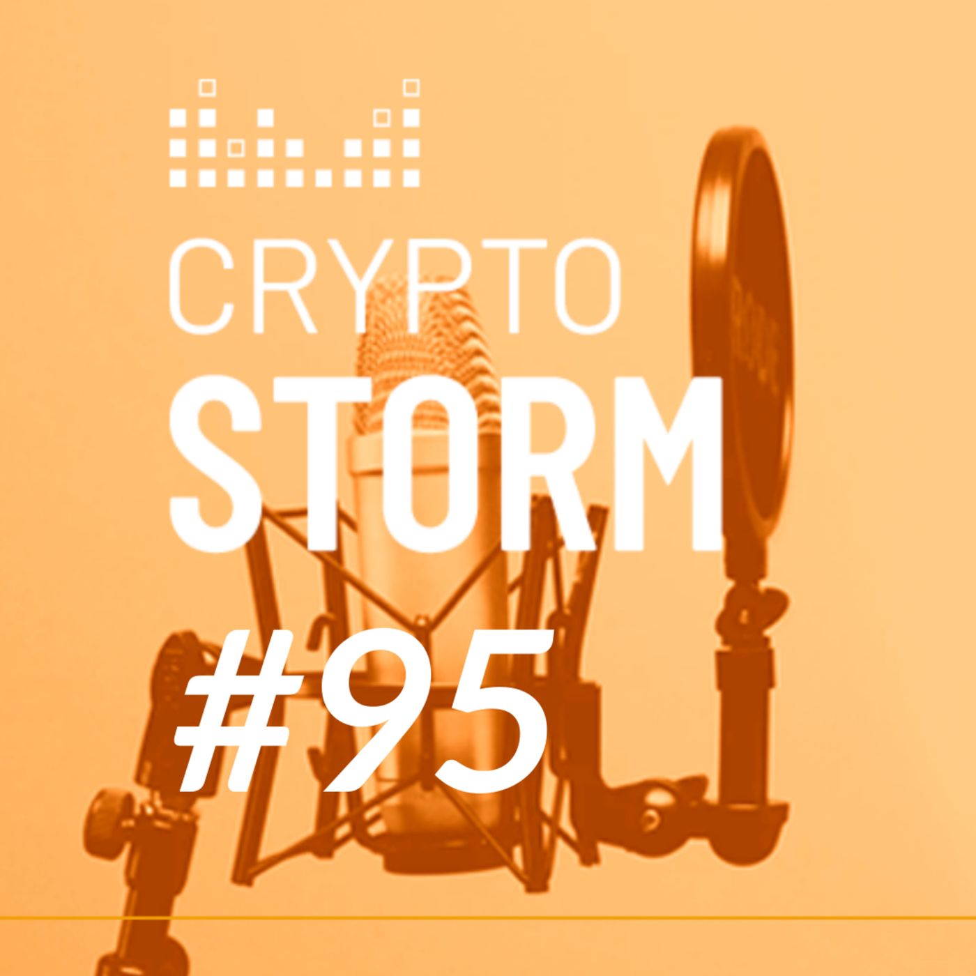 Crypto Storm