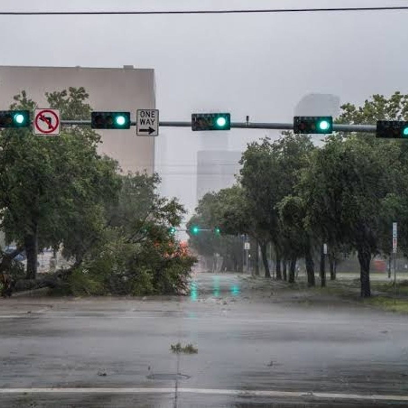 DeSantis believes Hurricane Isaias will likely make landfall as a Category 3 storm episode artwork