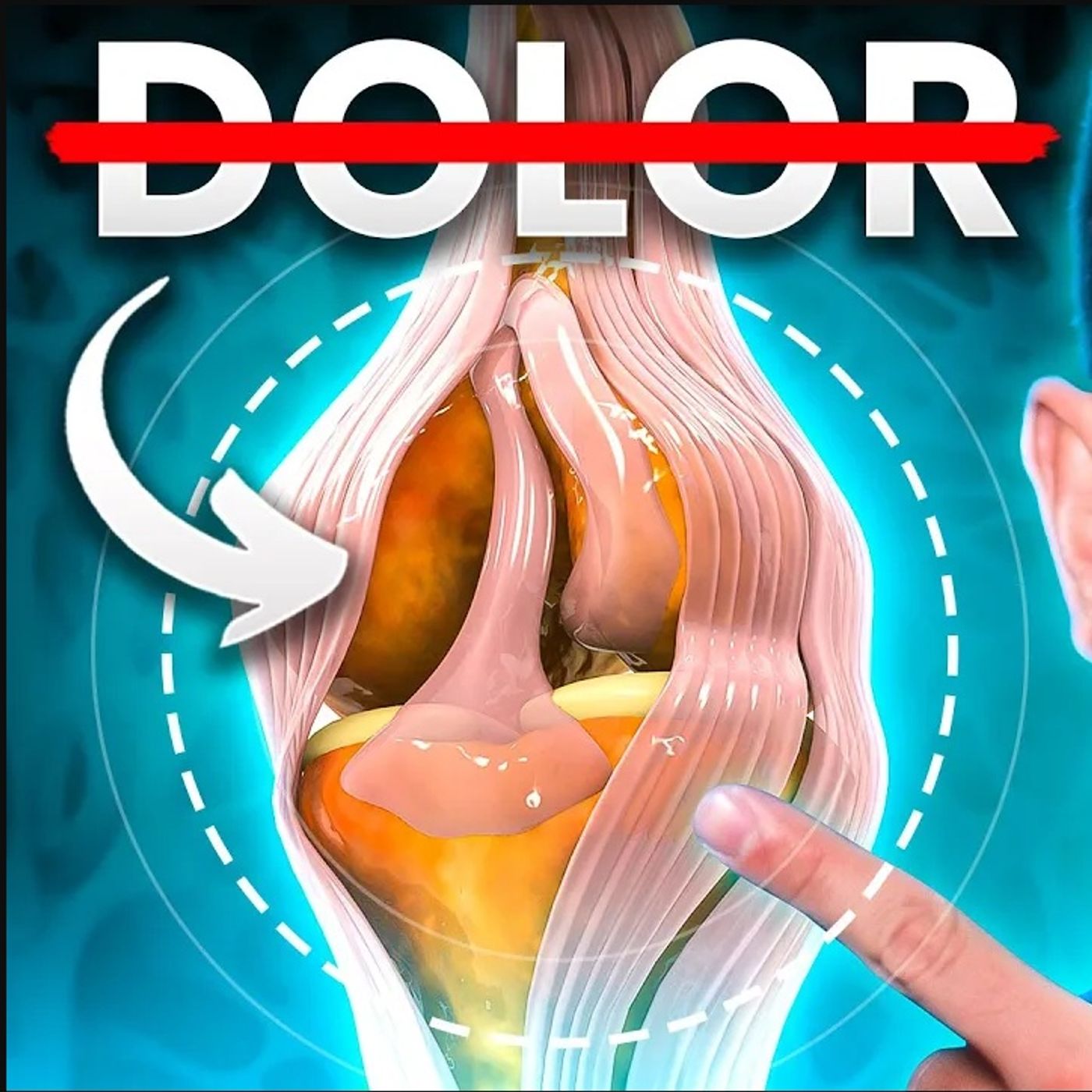 FUERA DOLOR de RODILLA: FORTALECE y RECUPERA tu CARTÍLAGO