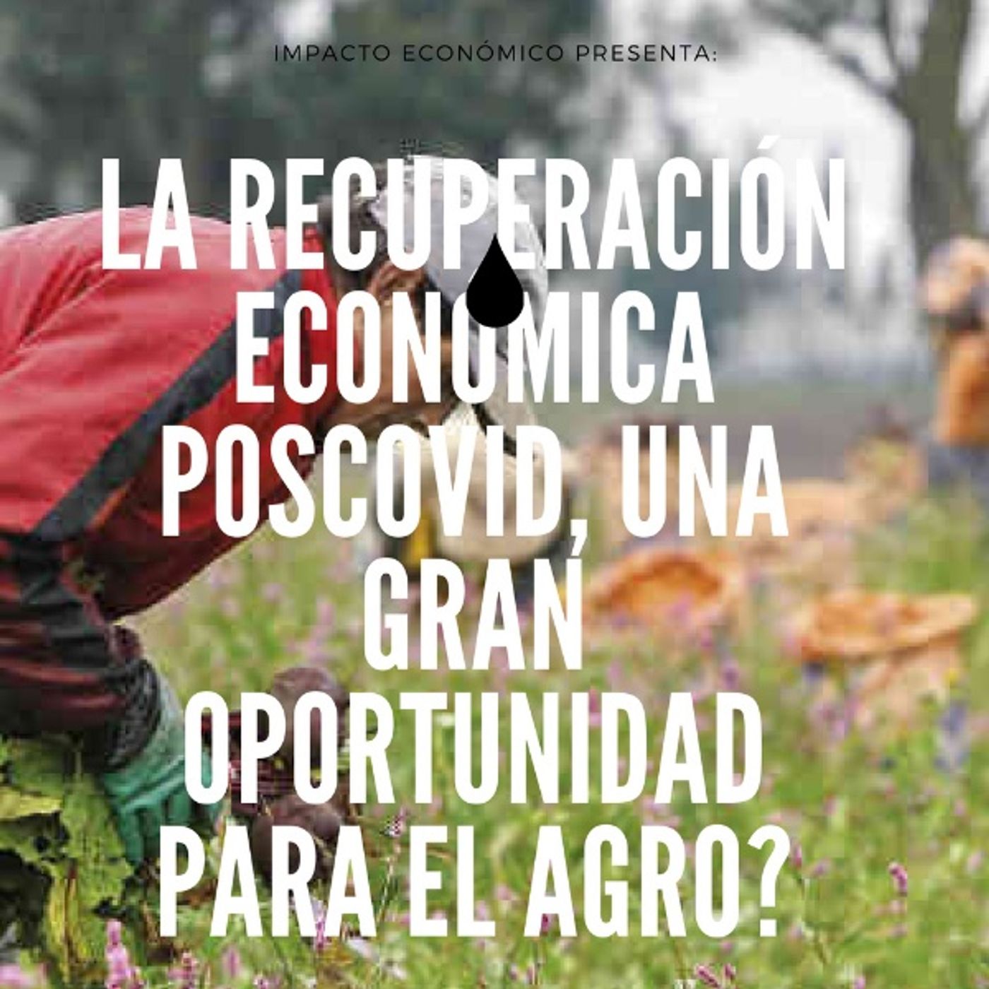 La recuperación económica poscovid, ¿una gran oportunidad para el agro? episode artwork