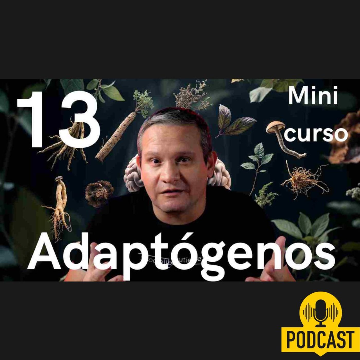¿Cuales son los 13 adaptógenos? MINI CURSO ¿Cuales son los 13 adaptógenos? MINI CURSO