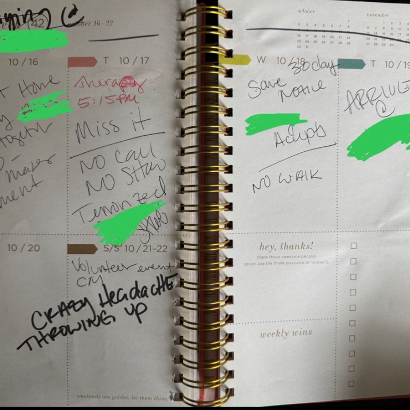 Midlife Misery: the Journals
