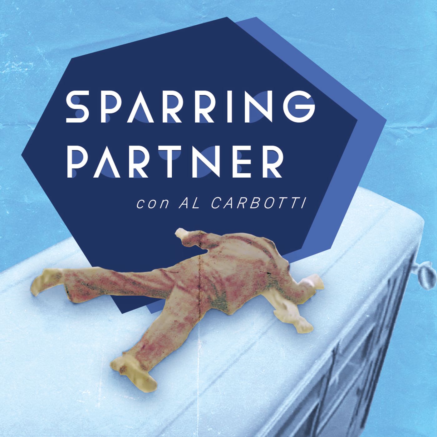 Sparring Partner