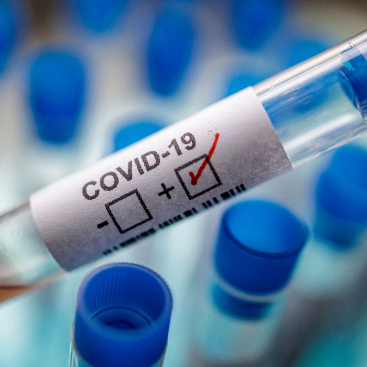 Enfrentamento à COVID-19 no Ceará episode artwork