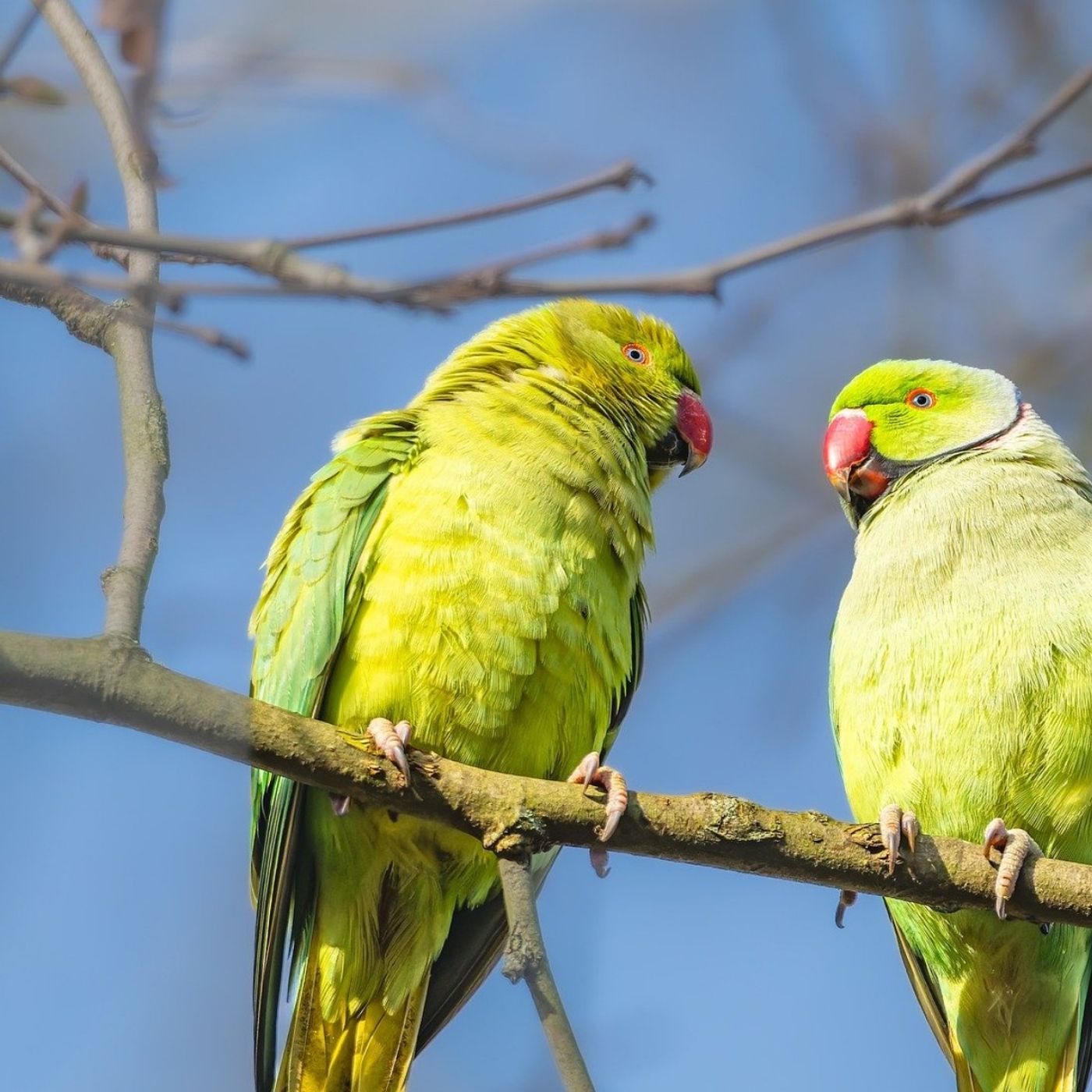 This Fleeting Life cover art