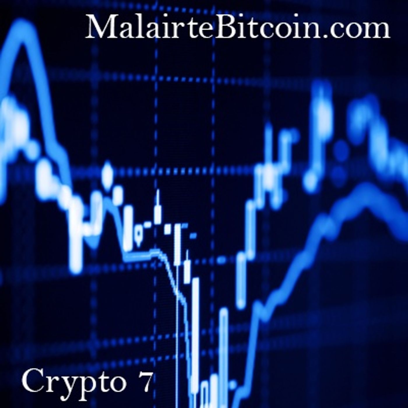 Bitcoin High Frequency Trading Fund