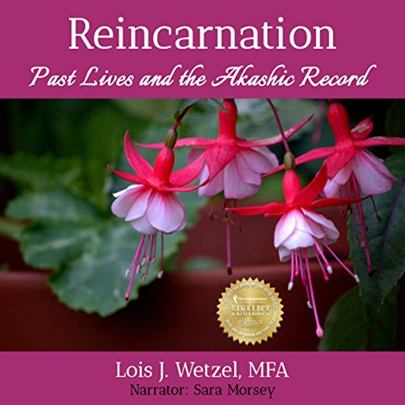Reincarnation: Past Lives and the Akashic Record Audiobook by Lois J. Wetzel episode artwork