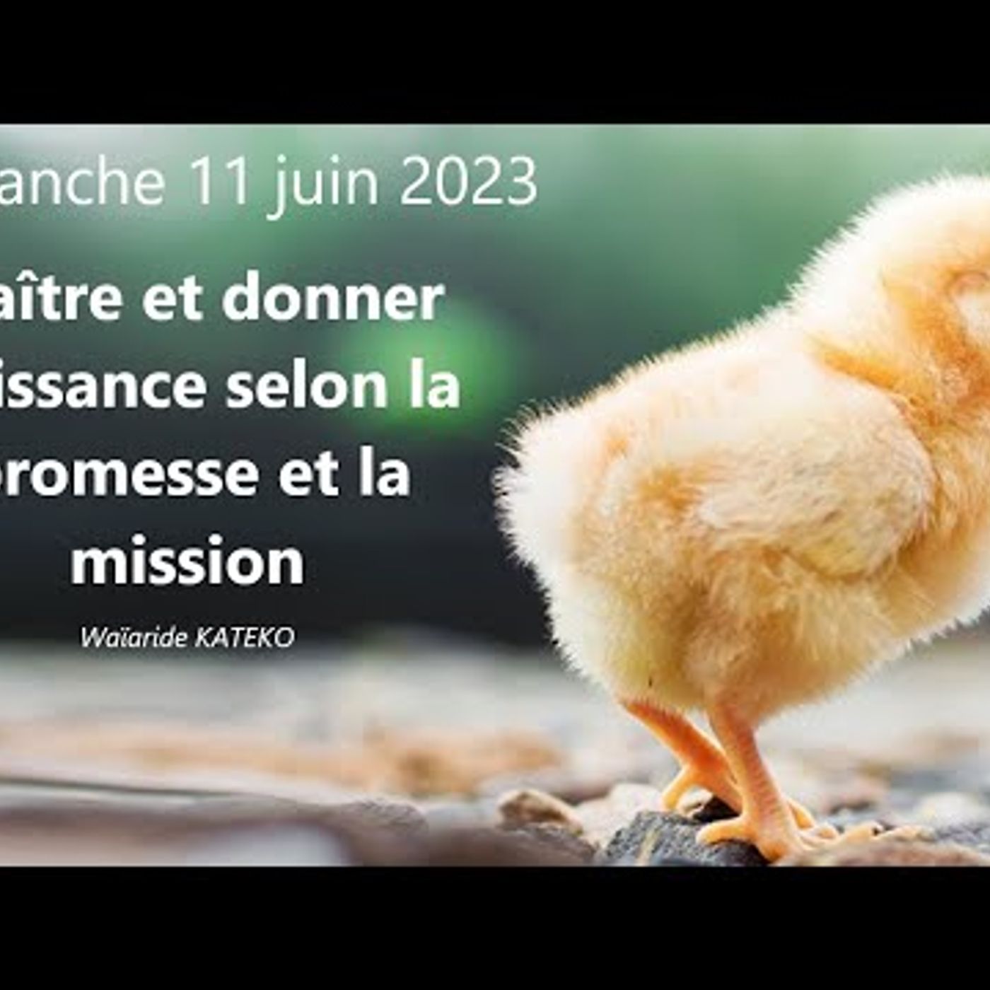 Eglise Biblique de Toulouse - Naître et donner naissance selon la promesse et la mission (Waïaride KATEKO)