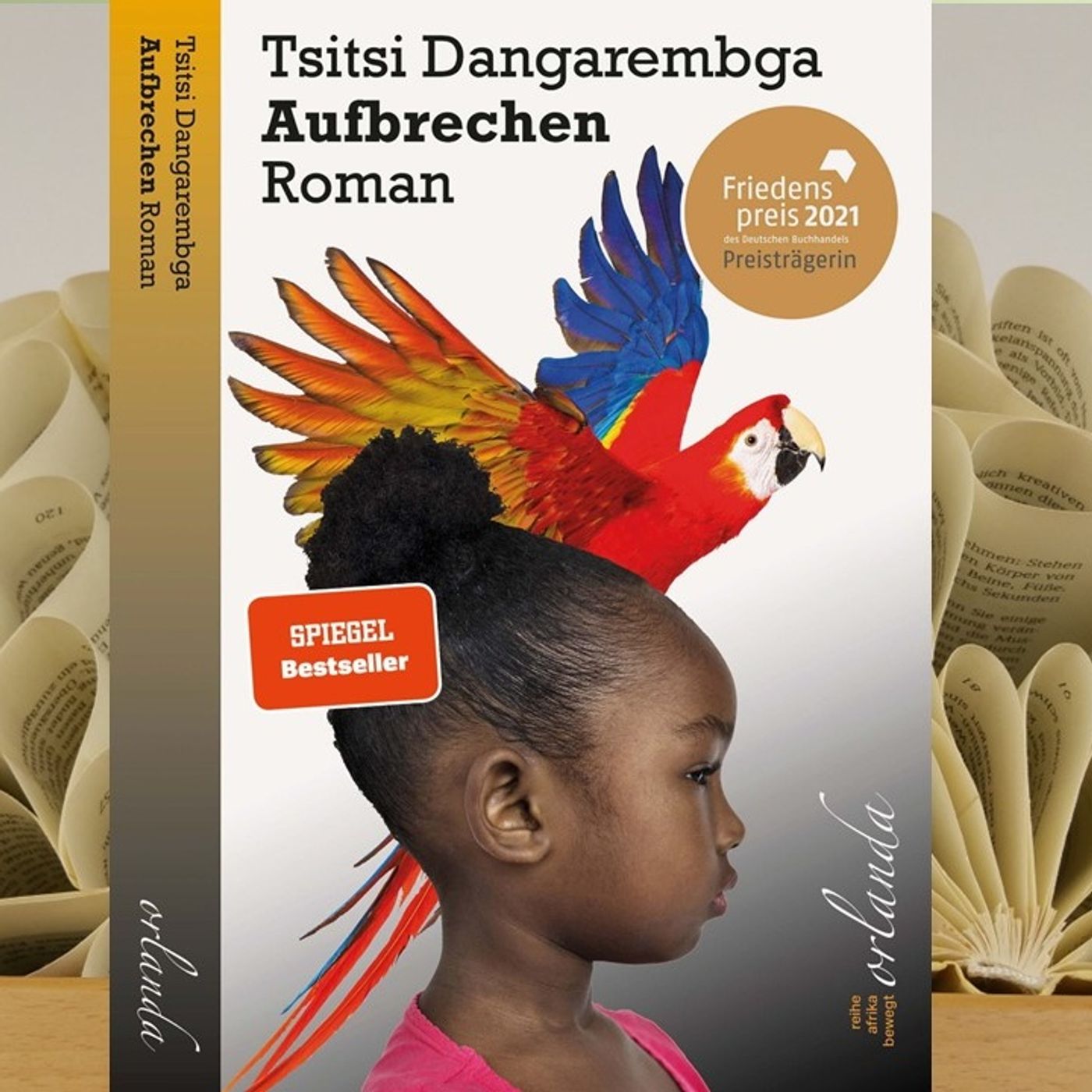 21.11. Tsitsi Dangarembga - Aufbrechen (Benita Hanke) episode artwork