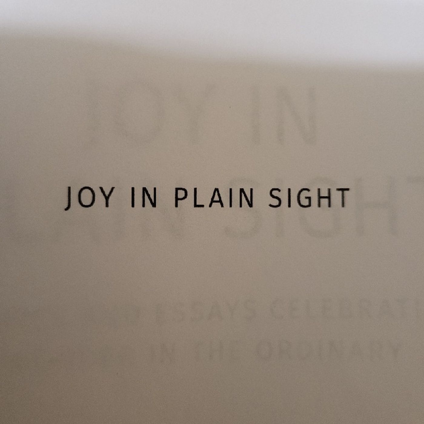 Joy In Plain Sight: Introduction
