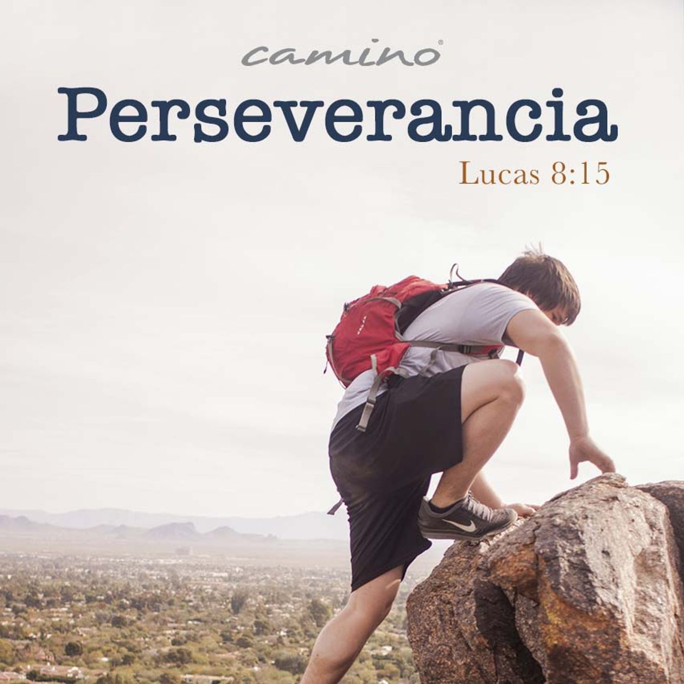 Oración 14 de agosto (Perseverancia) episode artwork