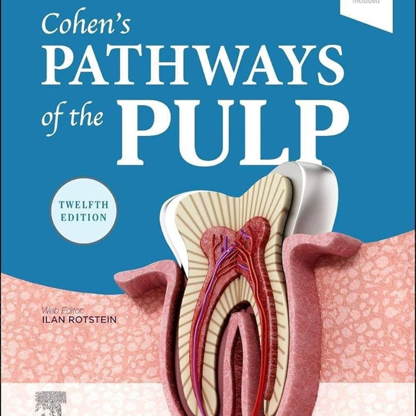 Cohen's Pathways of the Pulp