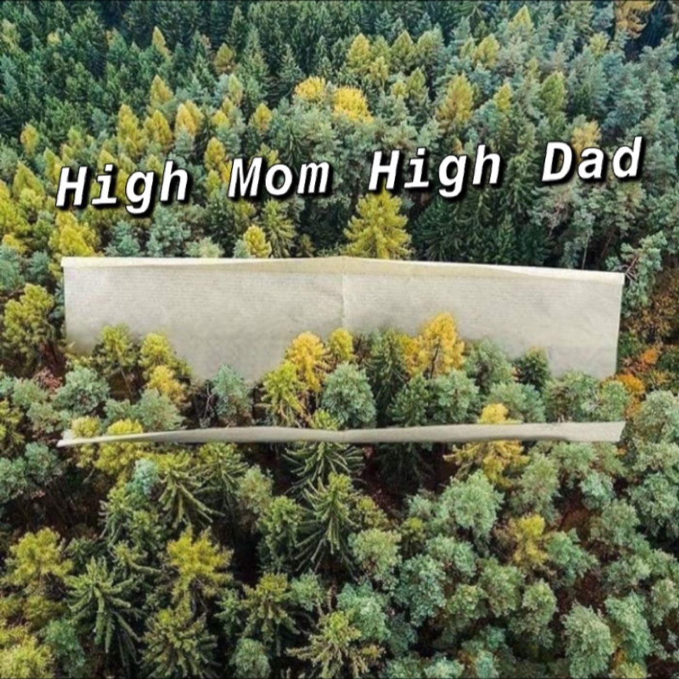 High Mom High Dad