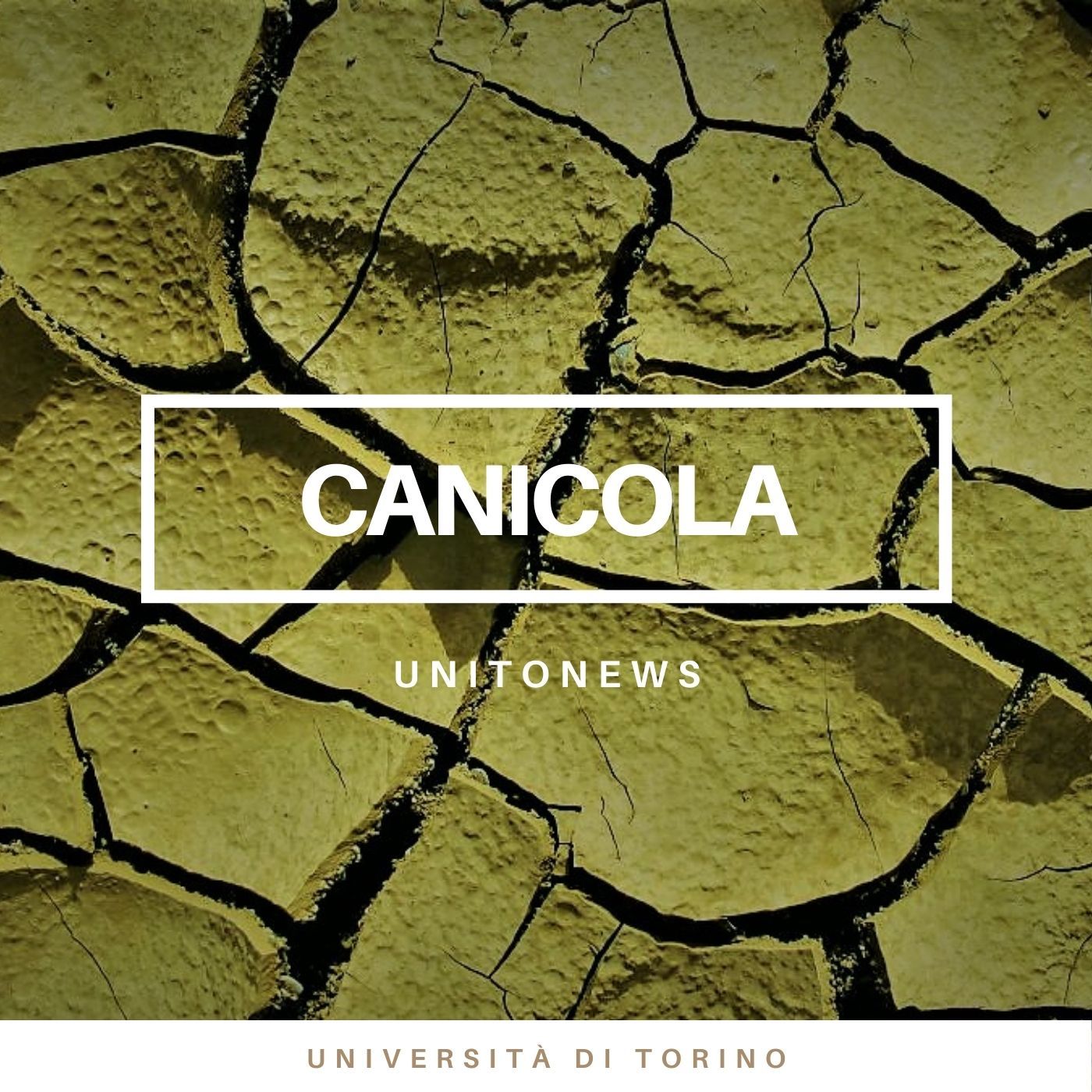 Le interviste di UniTo News