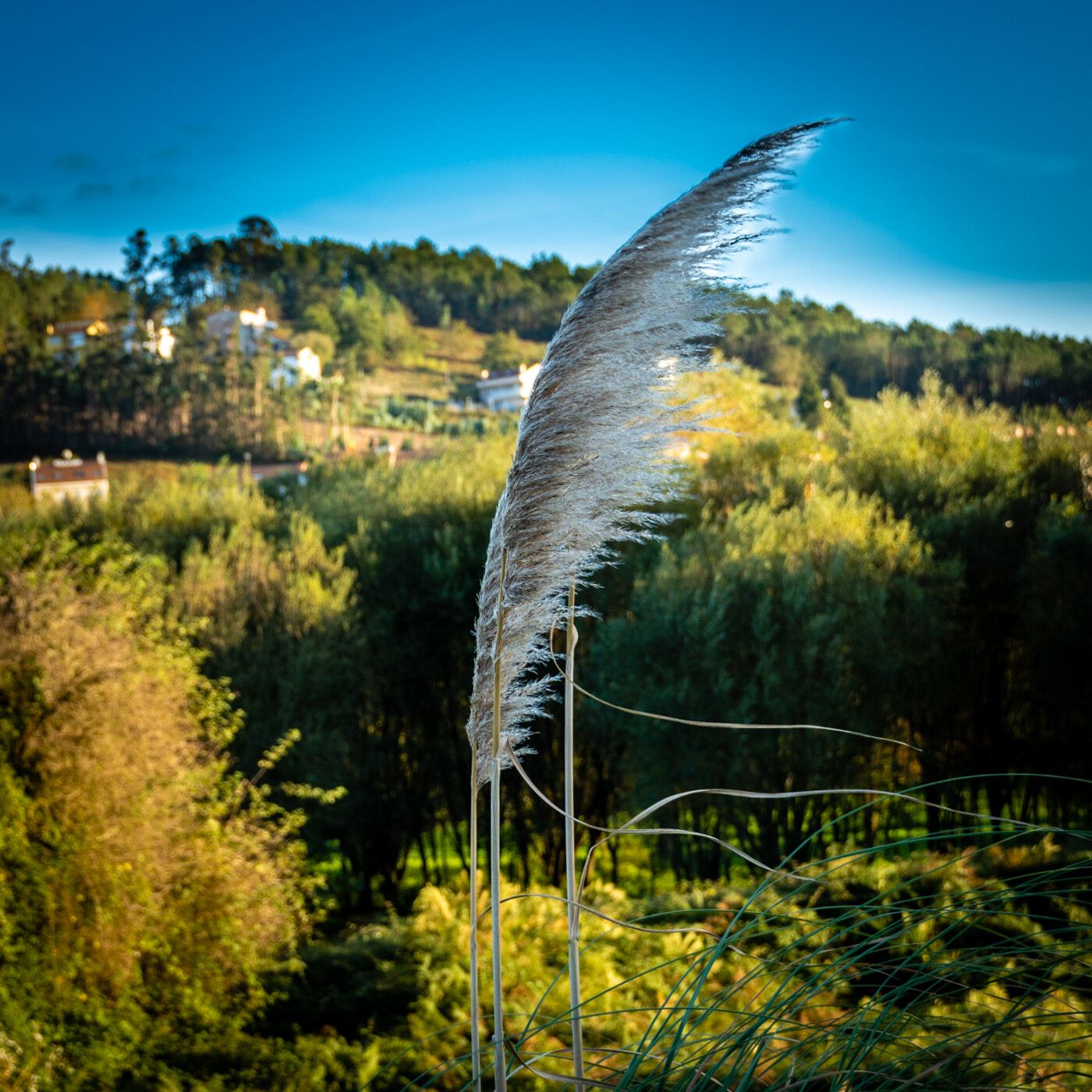 O que hai que escoitar