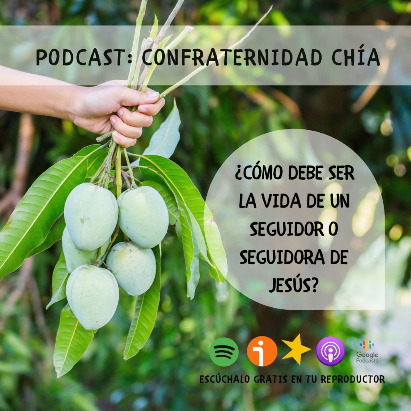 Confraternidad Chía - Seguidores de Jesús