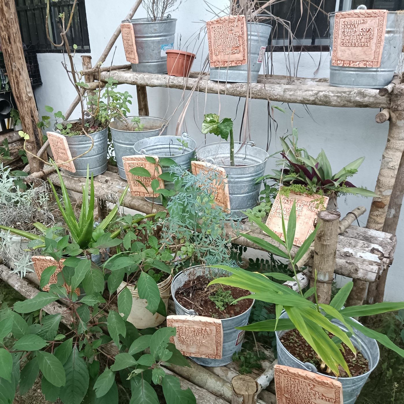 El jardín de las abuelas, en maya peninsular
