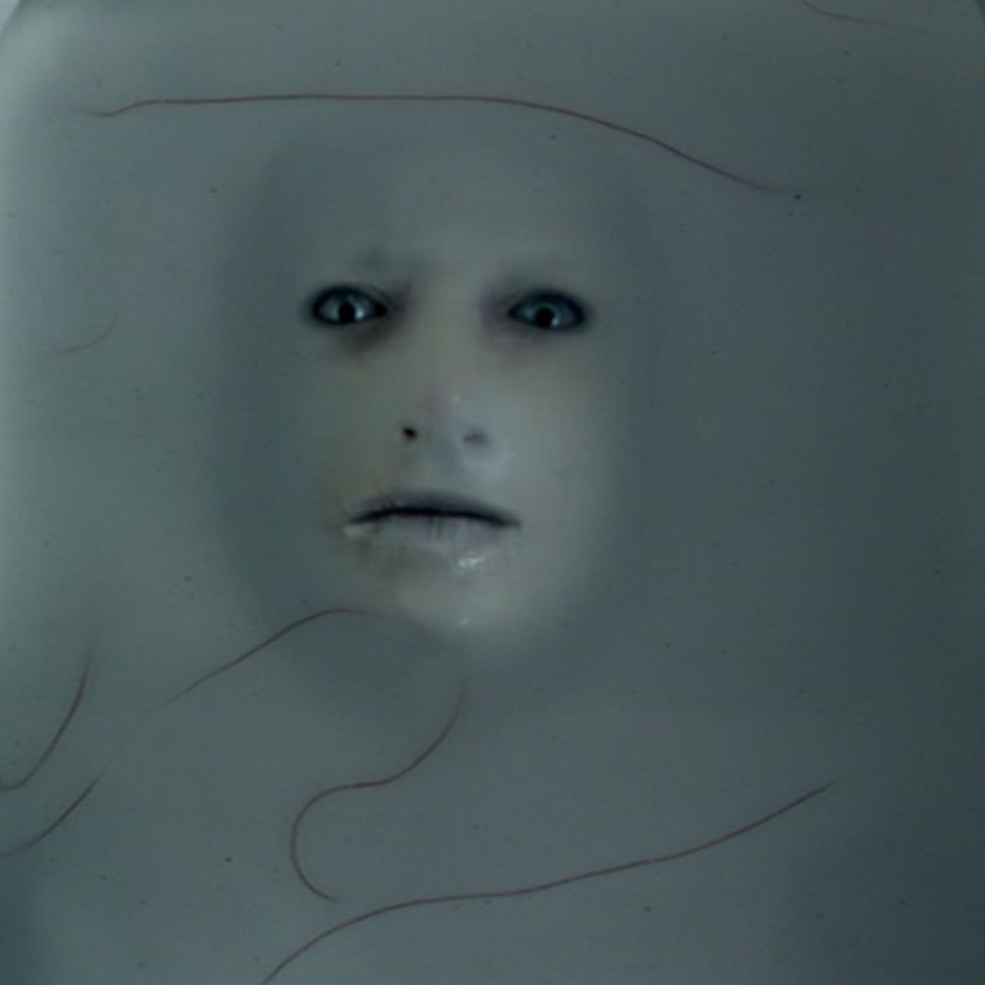 Doctor Who, S06E05- The Rebel Flesh